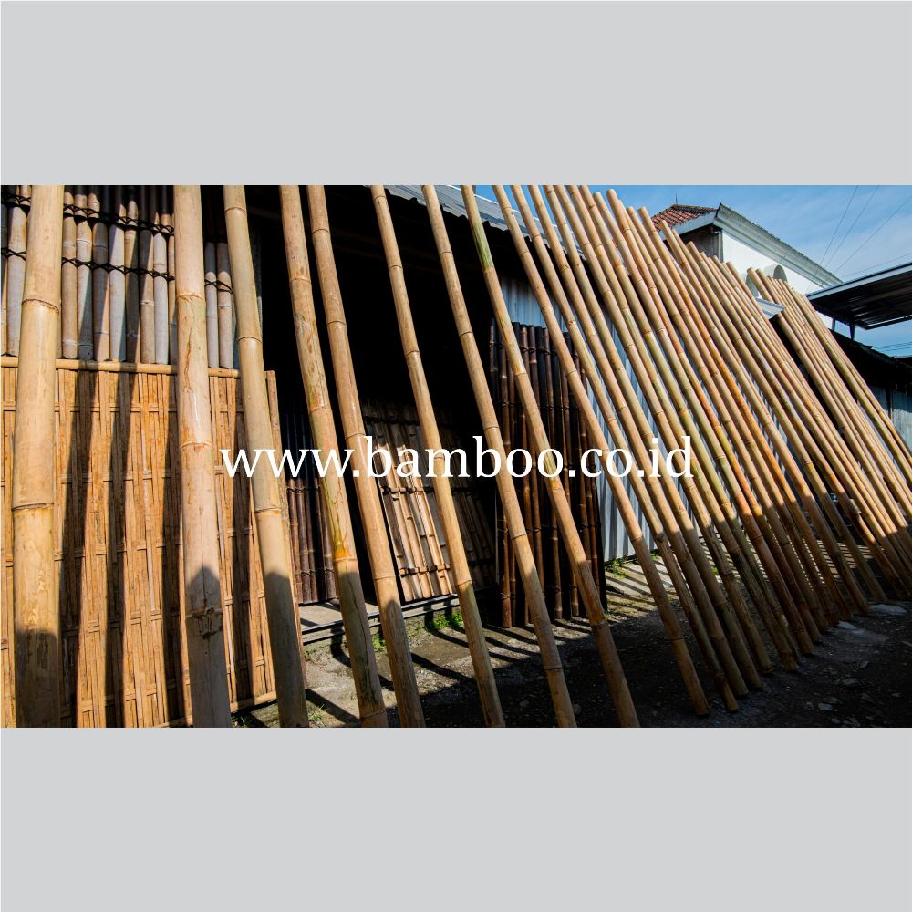 Bamboo Poles for Construction and Home Decor | Natural 2 - 4 Meter Natural Color